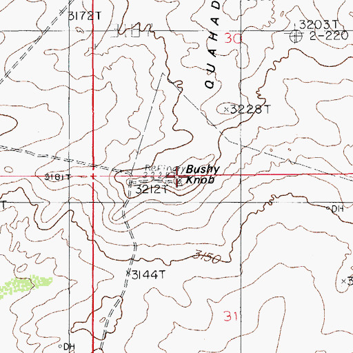 Topographic Map of Bushy Knob, NM