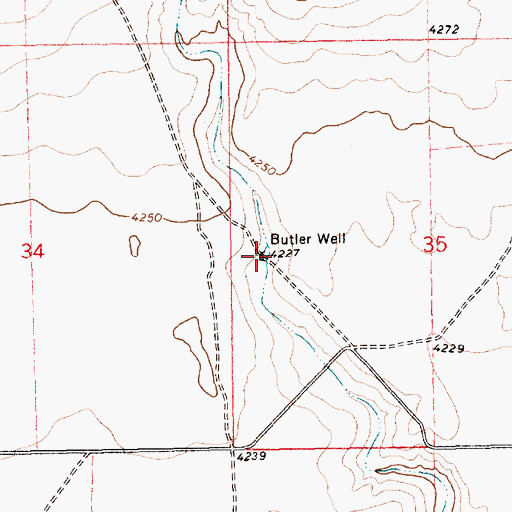 Topographic Map of Butler Well, NM