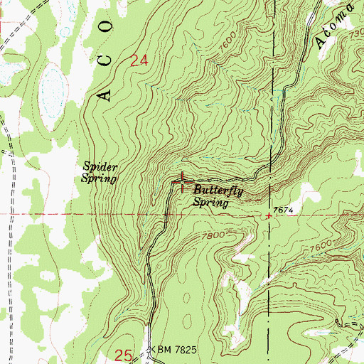 Topographic Map of Butterfly Spring, NM