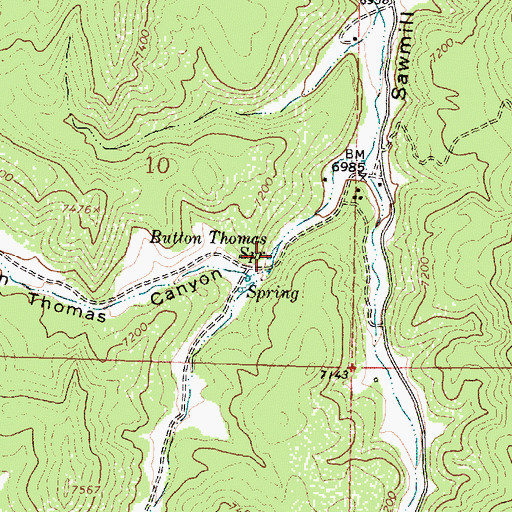 Topographic Map of Button Thomas Spring, NM