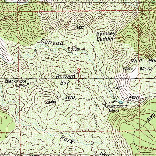 Topographic Map of Buzzard Bay, NM