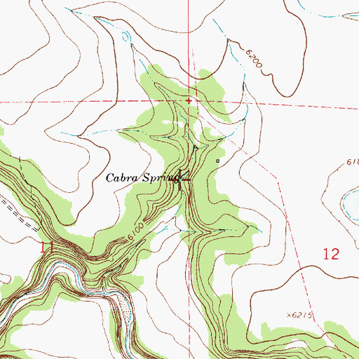 Topographic Map of Cabra Spring, NM
