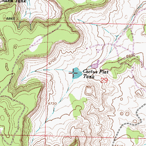 Topographic Map of Cactus Flat Tank, NM