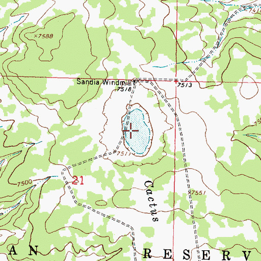 Topographic Map of Cactus Lakes, NM