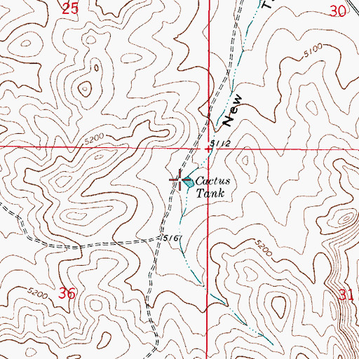Topographic Map of Cactus Tank, NM