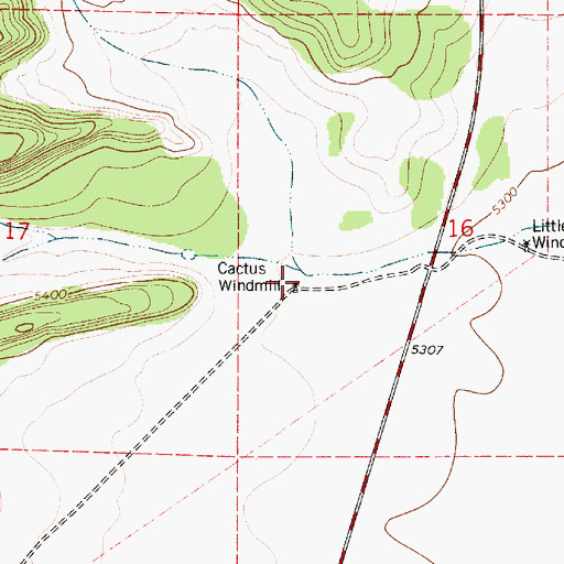 Topographic Map of Cactus Windmill, NM