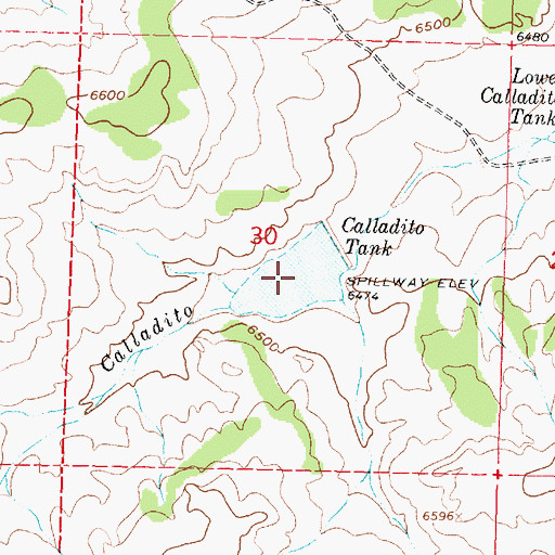 Topographic Map of Calladito Tank, NM