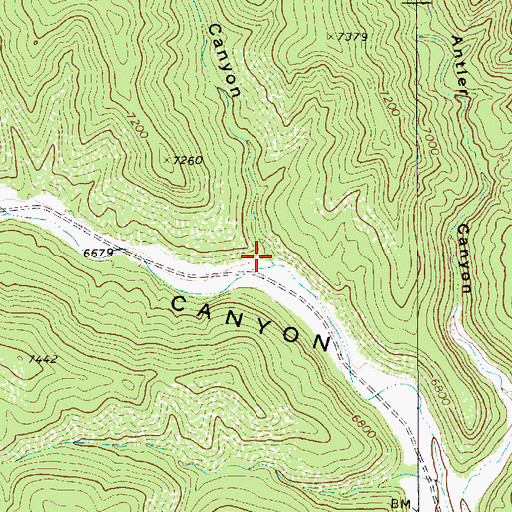 Topographic Map of Camp Canyon, NM
