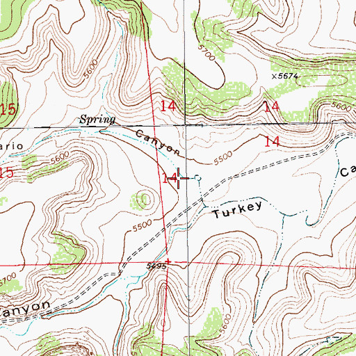 Topographic Map of Canario Canyon, NM