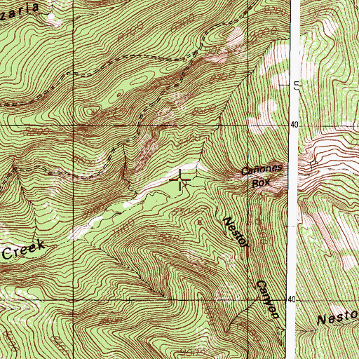 Topographic Map of Caones Box, NM