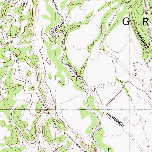 Topographic Map of Caones Creek, NM
