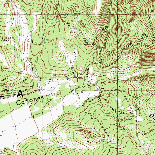 Topographic Map of Caonizaria Canyon, NM