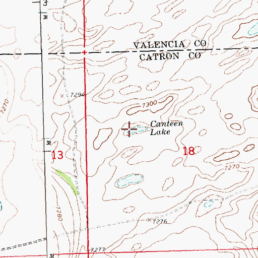 Topographic Map of Canteen Lake, NM