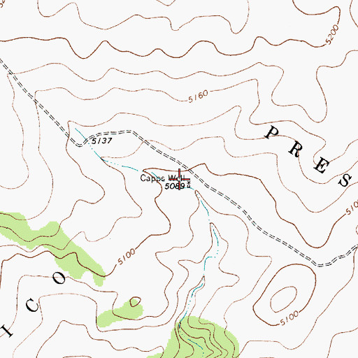 Topographic Map of Capps Well, NM