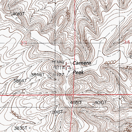Topographic Map of Carnero Peak, NM