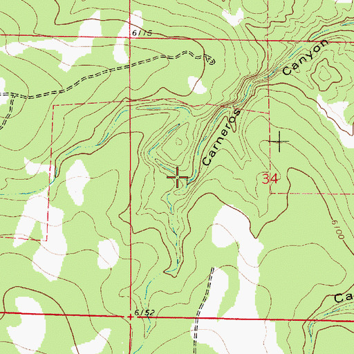 Topographic Map of Carneros Draw, NM