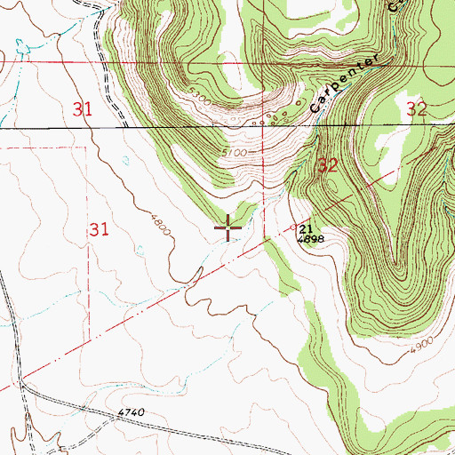 Topographic Map of Carpenter Canyon, NM