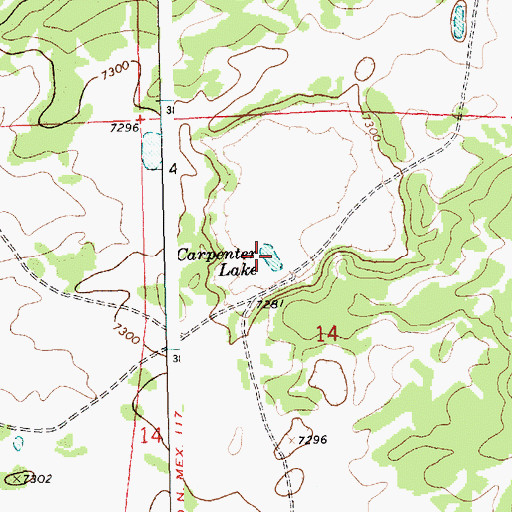 Topographic Map of Carpenter Lake, NM