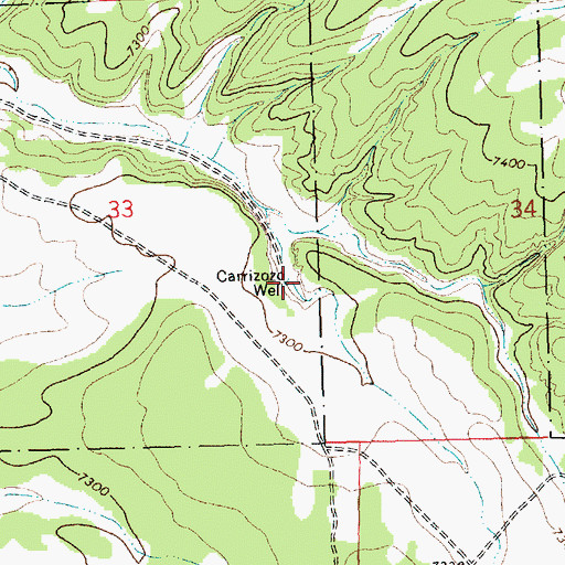 Topographic Map of Carrizozo Well, NM