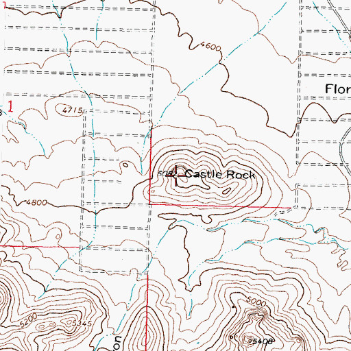 Topographic Map of Castle Rock, NM