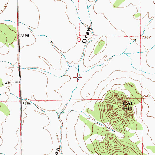Topographic Map of Cat Draw, NM