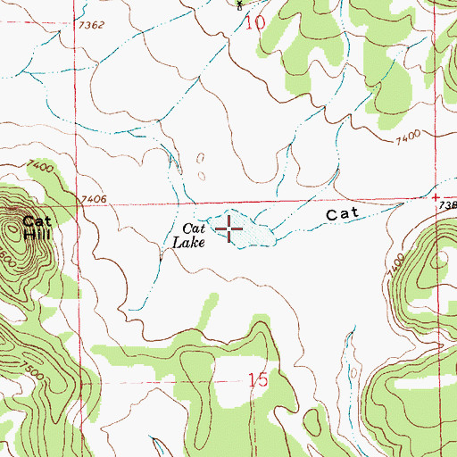 Topographic Map of Cat Lake, NM