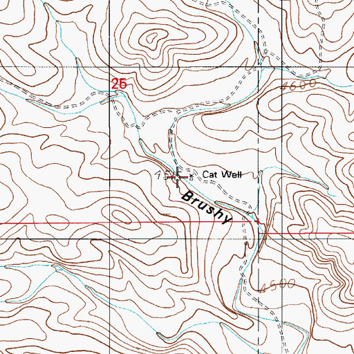 Topographic Map of Cat Well, NM