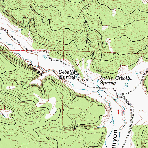 Topographic Map of Cebolla Spring, NM