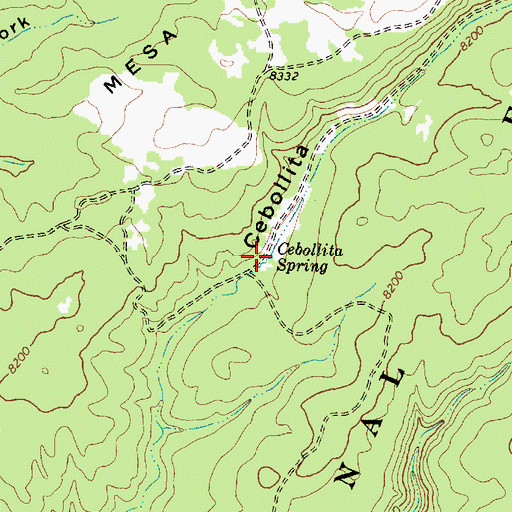 Topographic Map of Cebollita Spring, NM