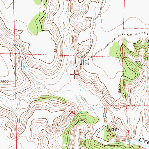 Topographic Map of Cedar Canyon, NM