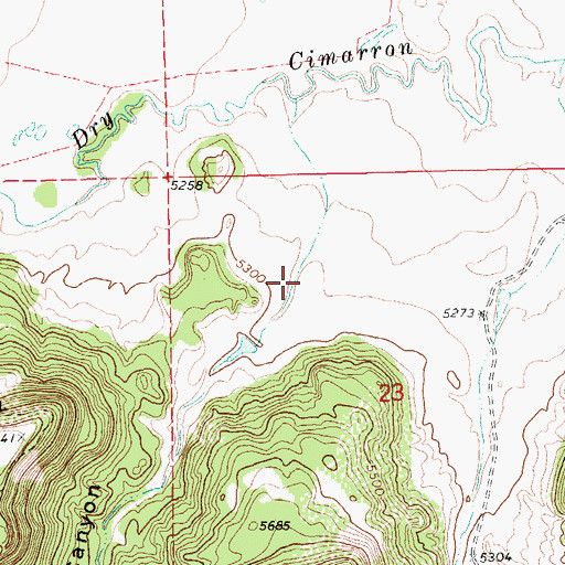 Topographic Map of Cedar Canyon, NM