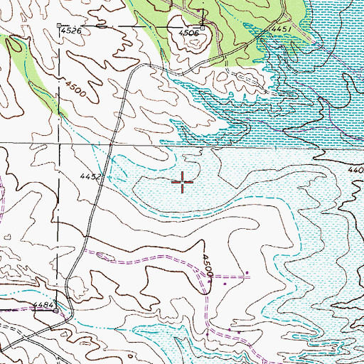 Topographic Map of Cedar Canyon, NM
