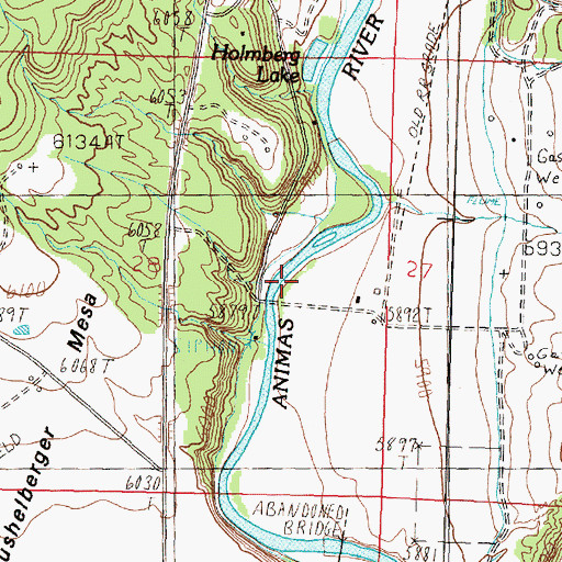 Topographic Map of Cedar Ditch, NM