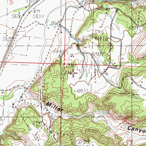 Topographic Map of Cedar Hill Cemetery, NM