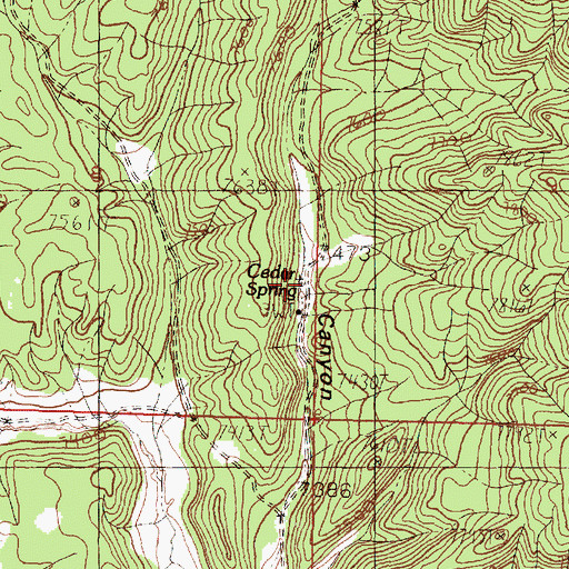 Topographic Map of Cedar Spring, NM