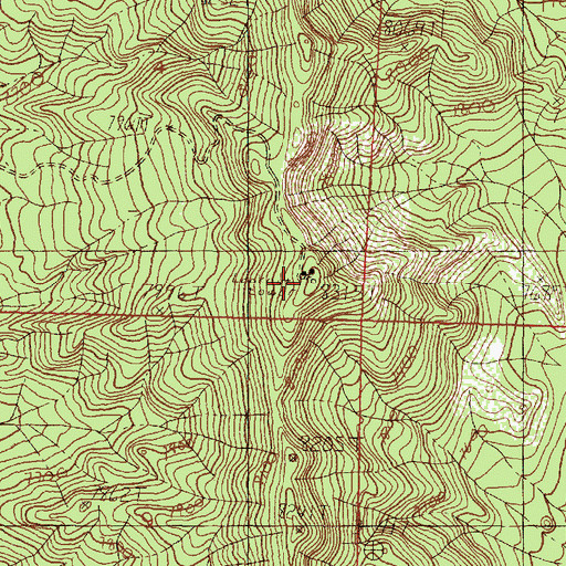 Topographic Map of Cedar Springs Lookout, NM