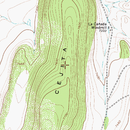 Topographic Map of Cejita, NM