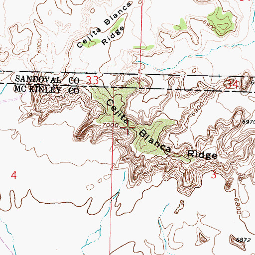 Topographic Map of Cejita Blanca Ridge, NM