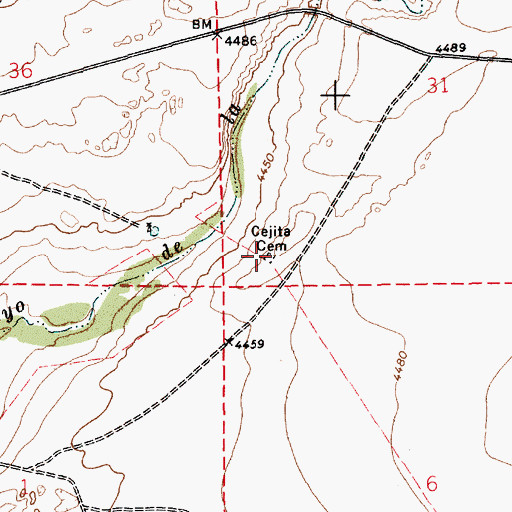 Topographic Map of Cejita Cemetery, NM