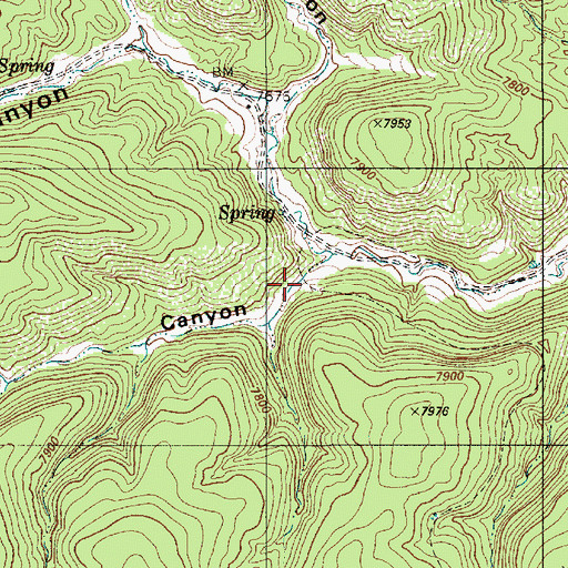 Topographic Map of Cemetery Canyon, NM