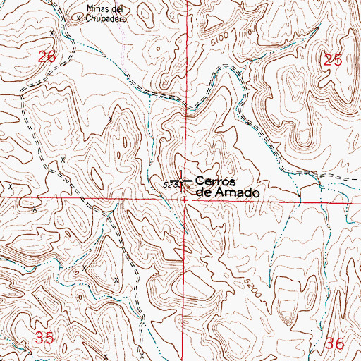 Topographic Map of Cerros de Amado, NM
