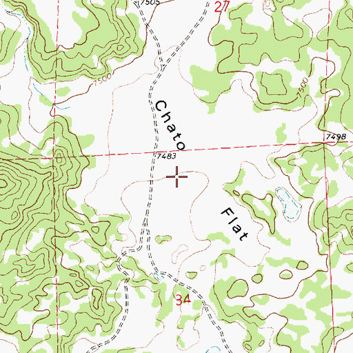 Topographic Map of Chato Flat, NM