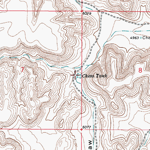 Topographic Map of Chess Tank, NM