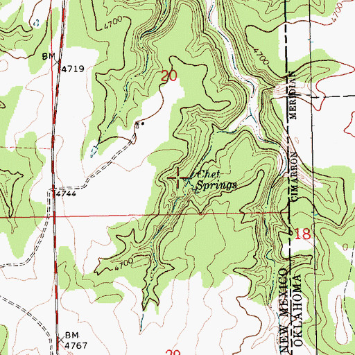 Topographic Map of Chet Springs, NM