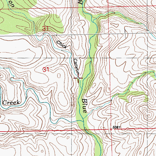 Topographic Map of Chick Canyon, NM