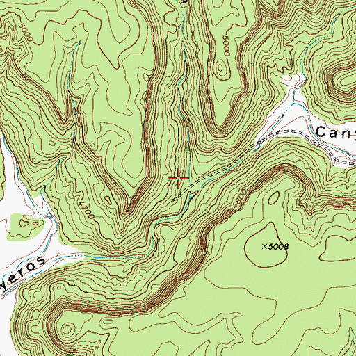 Topographic Map of Chinaberry Canyon, NM
