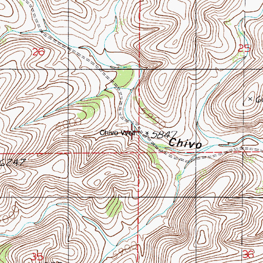 Topographic Map of Chivo Well, NM