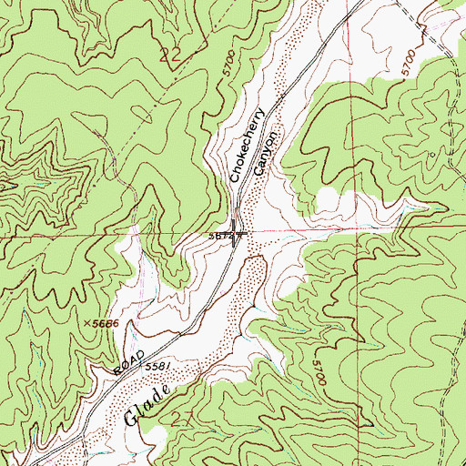 Topographic Map of Chokecherry Canyon, NM