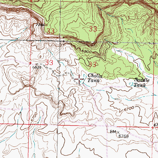 Topographic Map of Cholla Tank, NM