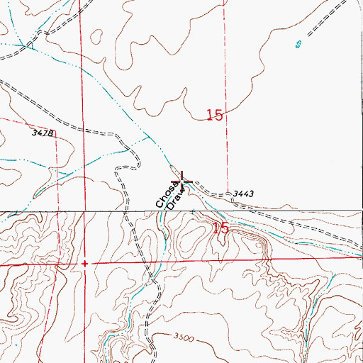 Topographic Map of Chosa Draw, NM